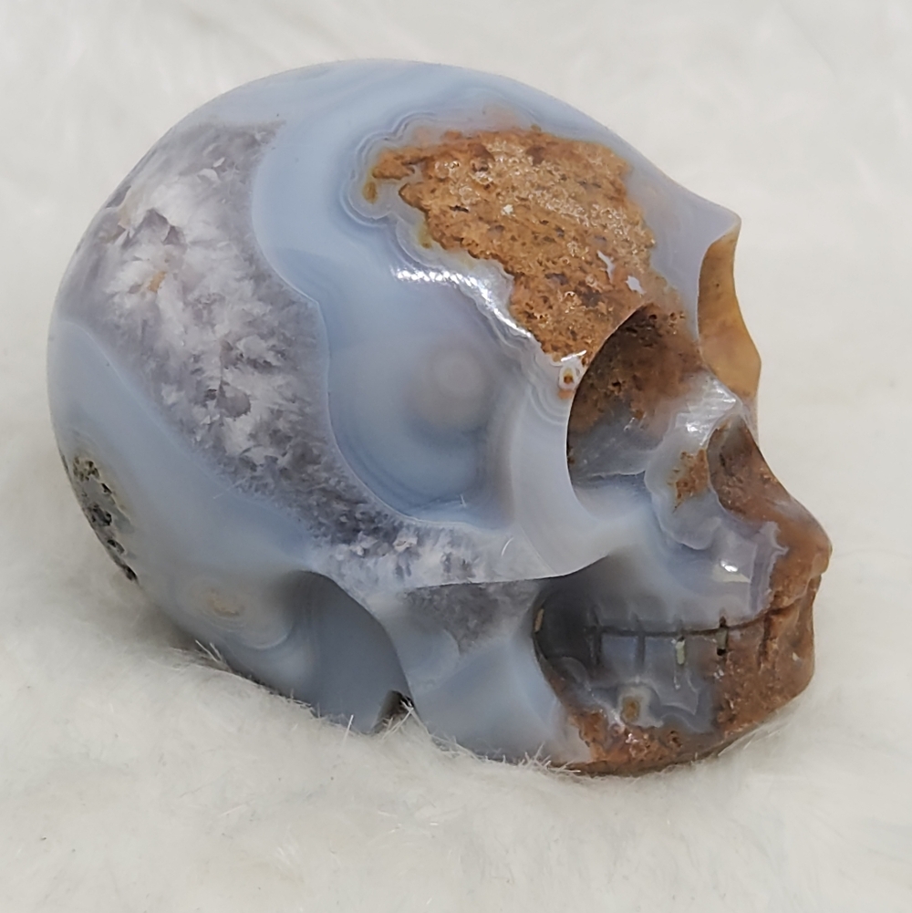 Rare Blue Banded Plume Moss Agate Skull, Druzy Quartz 💀 Crystal Collector Decor